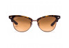 Ray Ban Icons – Clubmaster Cathy RB4132 710/51 - 1